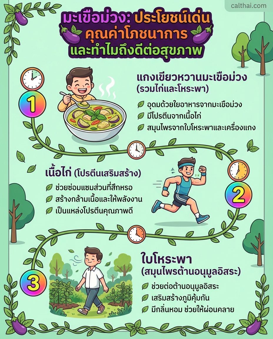 มะเขือม่วง: ประโยชน์เด่น คุณค่