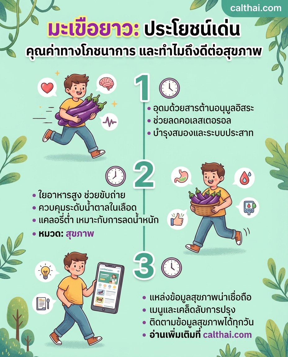 มะเขือยาว: ประโยชน์เด่น คุณค่า