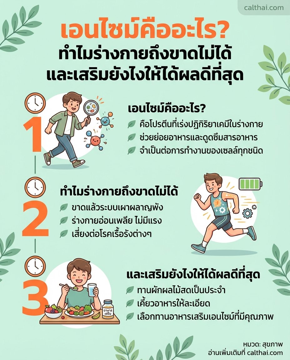 เอนไซม์คืออะไร? ทำไมร่างกายถึง